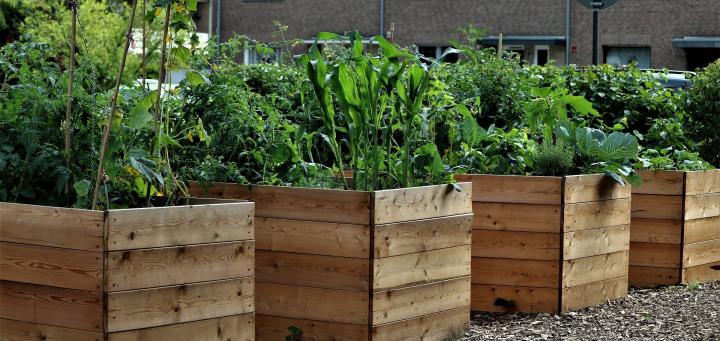 box spring garden bed